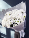Букет из 15 белых хризантем