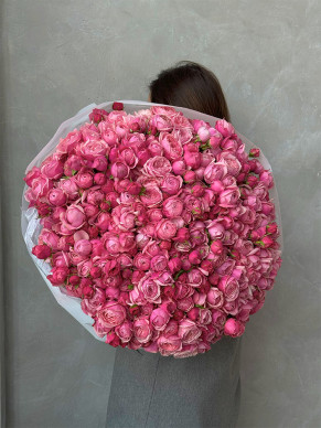 BUKET 323