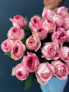 Роза Pink Xpression 