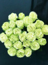 Роза Wasabi