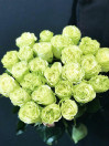 Роза Wasabi