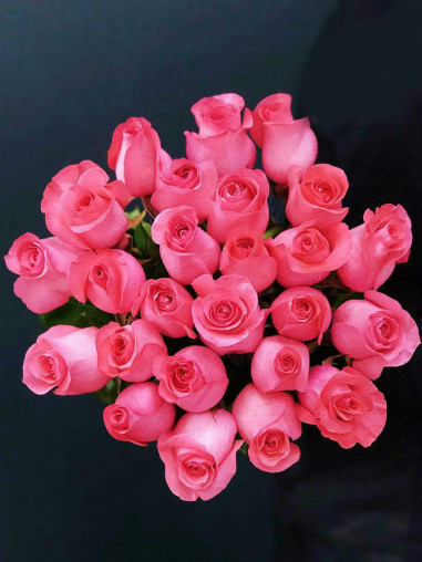 Роза Pink Love