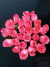 Роза Pink Love